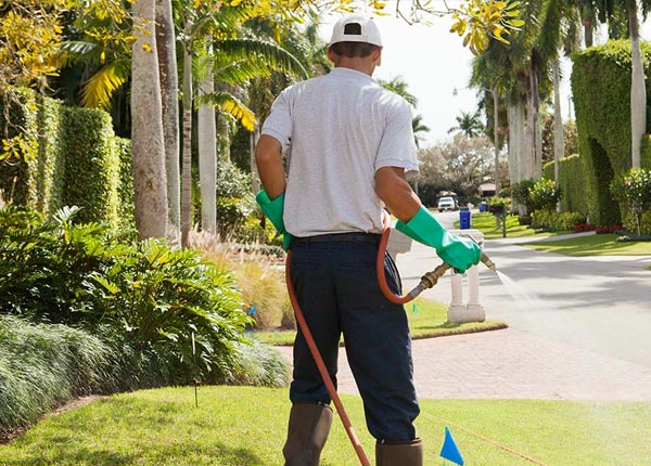 About Lyndon KS Pest Control